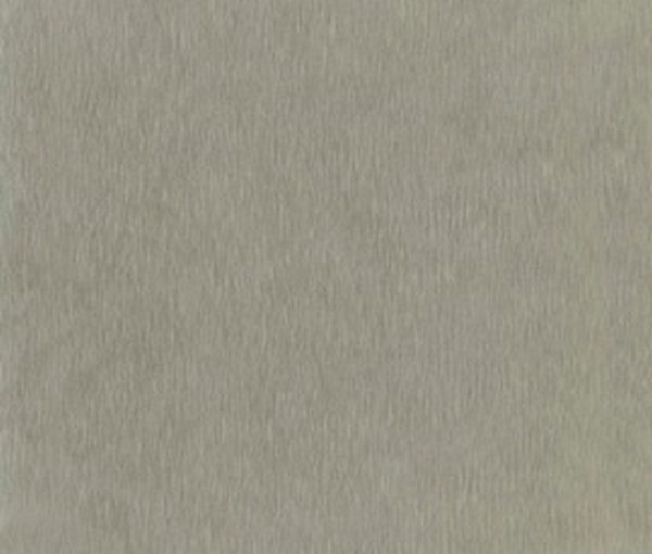 394 Пикассо инокс (матовый)